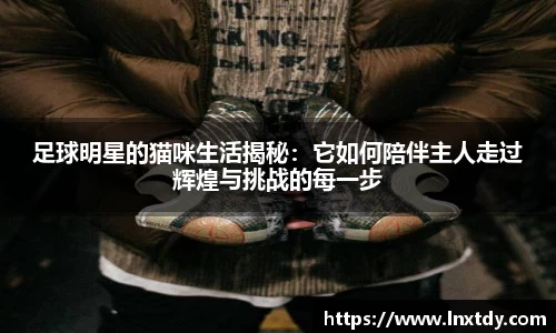 足球明星的猫咪生活揭秘：它如何陪伴主人走过辉煌与挑战的每一步